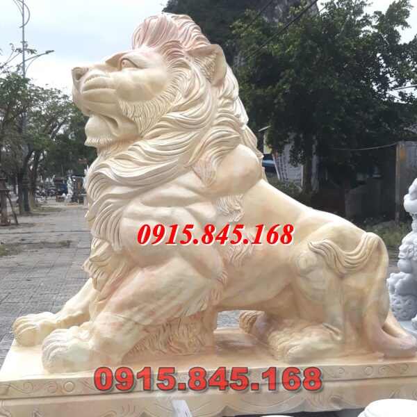 watermarked cap su tu da vang ca rot cao 17m 1 600x600 1