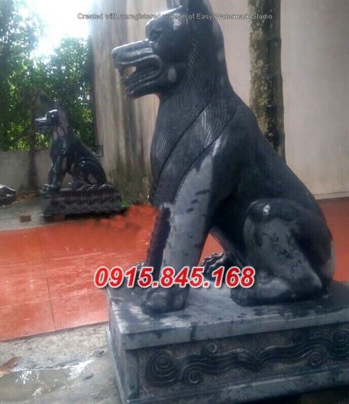 watermarked cho da can cong 500x580 1