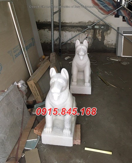 watermarked z2402231154014 9cc48a563416e59df229c67476cd32b4