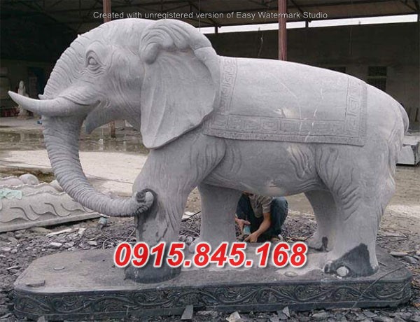 01Mơ voi ý nghĩa hên xui vào nhà điềm báo? 8 watermarked 10