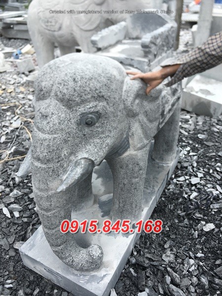 01Mơ voi ý nghĩa hên xui vào nhà điềm báo? 16 watermarked abf0ac21877a67243e6b