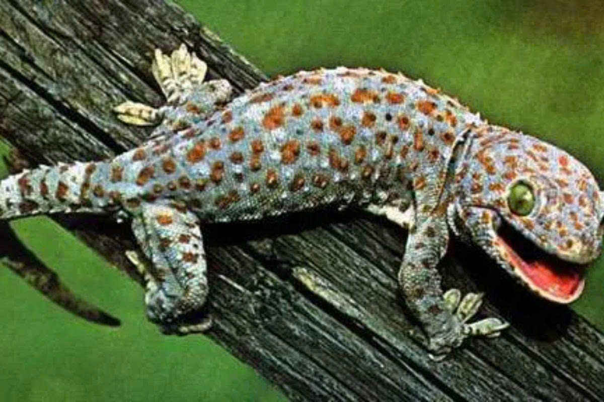 z7094326264075 44dcdfa3ce58301c2616e286bdaac316