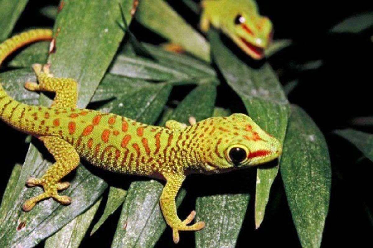 z7094326917815 9d37e53e1f97373ac86f02d9c905d7c2