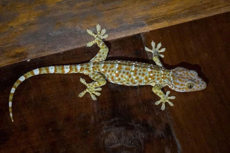 z7094328085805 89245001fe5bee6dd8a176381083eba2