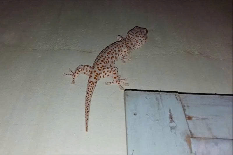 z7094328779468 110a70435402d7ff8cb0c20628843c69