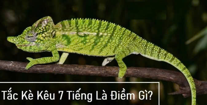 z7094333811679 a95430d48a8d9e8403a7c823d5c60348