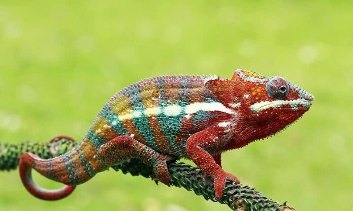 z7094336091296 80fd7d594d247aff1bdb278da6aa096f