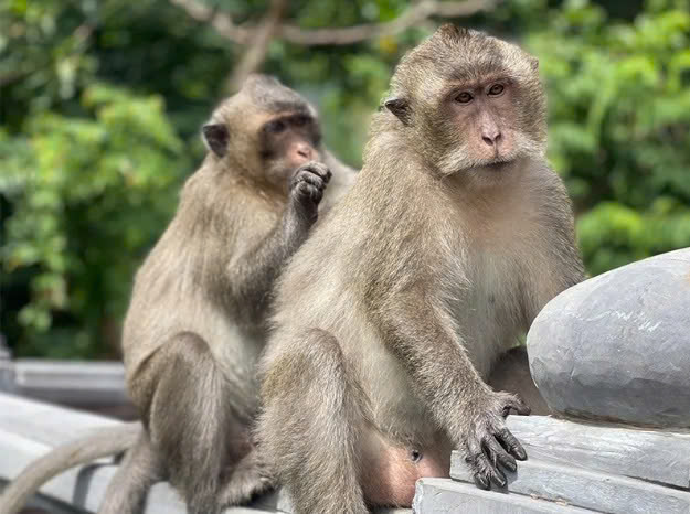 z7136381315448 e5cc9c71335cf66b49247b2f300b0f6a