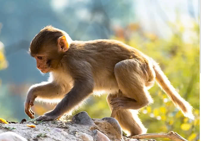 z7136384526741 d6175eeb97cbf2501580c7e58234d7c4