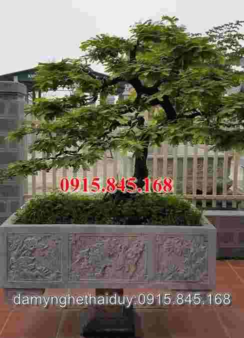 watermarked watermarked chau da co 06 1