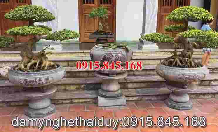 watermarked watermarked y nghia chau da trong cay